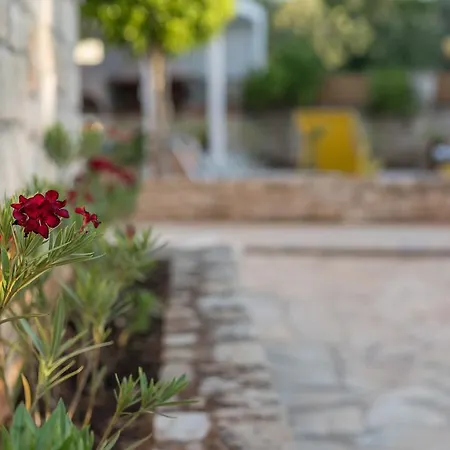 Villa Camellia