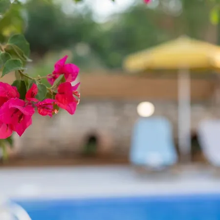 Villa Camellia *